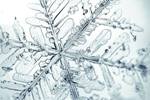 AGGIORNAMENTO METEO-SOSPENSIONE ATTIVITà DIDATTICHE SCUOLE PER IL GIORNO VENERDì 2 MARZO 2018 foto 
