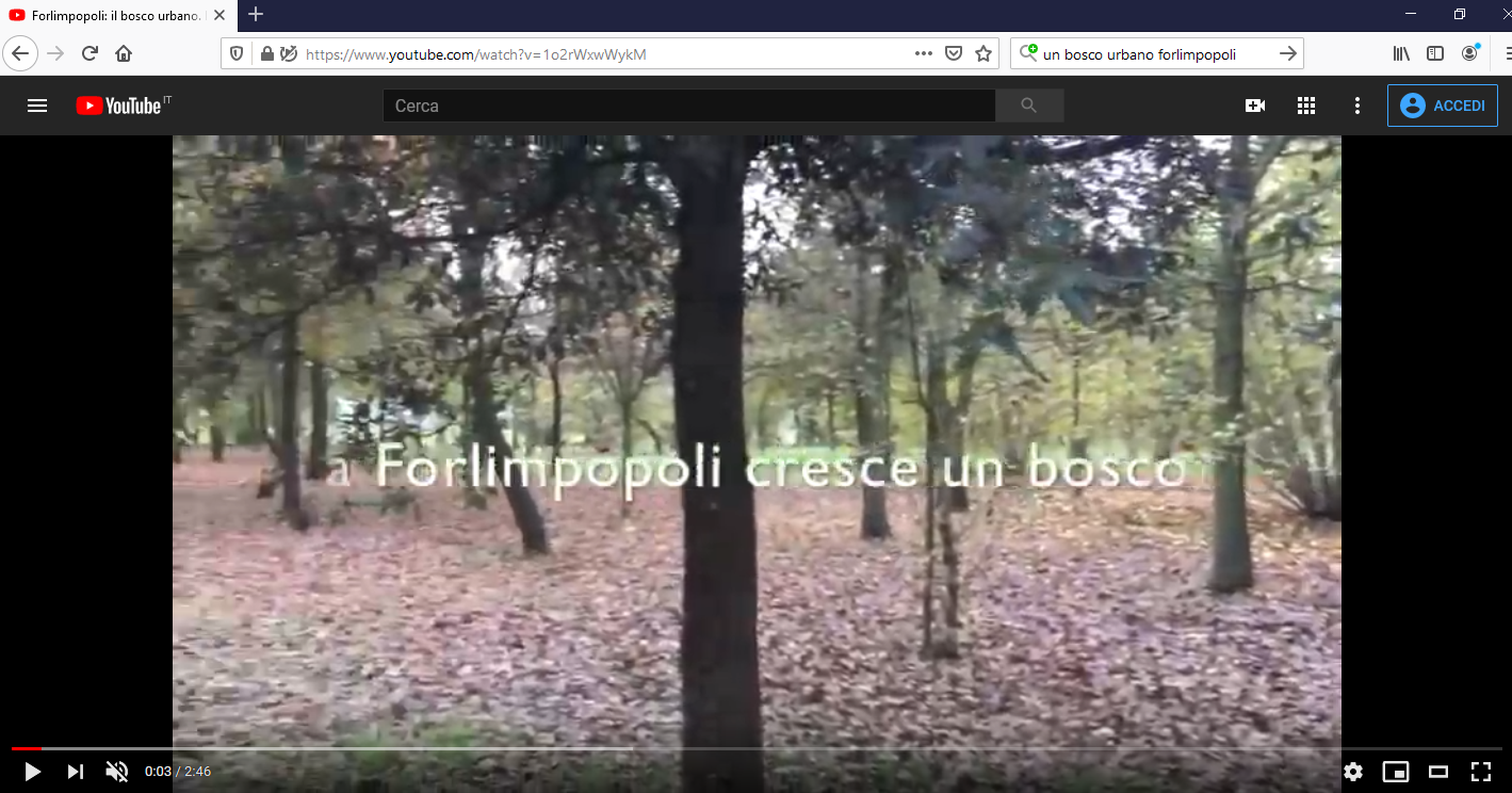 IL BOSCO URBANO foto 
